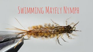 Tying the BEST Isonychia Bicolor Mayfly Nymph [upl. by Danica]