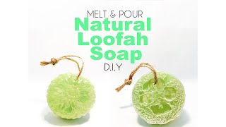 NATURAL LOOFAH SOAP  EASY DIY Melt and Pour Soap [upl. by Hussey35]