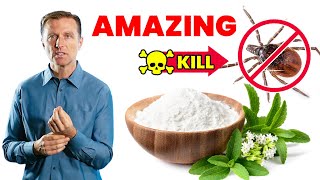 Stevia Kills Lyme Pathogen New Study [upl. by Sidras908]