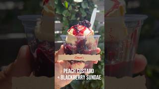 Peach Custard  Blackberry Sundae  Eckert’s Farm [upl. by Sirdna395]