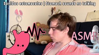 Sonidos estomacales  Stomach sounds no talking [upl. by Tomkins]