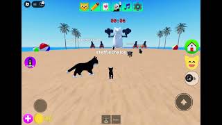 Kitten game Roblox game [upl. by Lenzi]