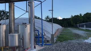 40kw biogas generator chicumi farm mabitac laguna Philippines  after 2 years [upl. by Lirpa]