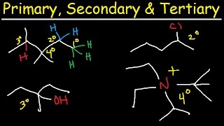 Primary Secondary Tertiary amp Quarternary Hydrogen and Carbon Atoms [upl. by Auqenet]