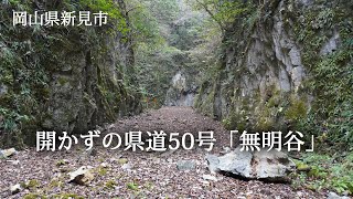 岡山県新見市 開かずの県道50号「無明谷」 [upl. by Wooster]