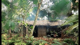 Primitive Technology Living in the forest natural wilderness [upl. by Madelin474]