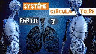 le système circulatoireles artères et les veines partie 3 [upl. by Kinemod]