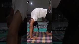 yogen chittasya paden vacha chakrasana chakrasan yogapose ramasareypalofficial yogaday2024 [upl. by Daughtry]