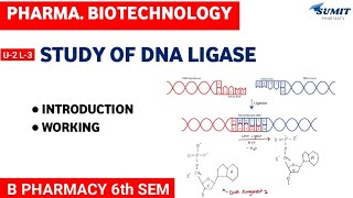 Study of DNA Ligase  Unit2 Pharmaceutical Biotechnology [upl. by Primrosa]