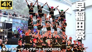 【早稲田祭 2024】早稲田大学男子チアリーディングチーム ”SHOCKERS”  「空飛ぶ早稲田生」チアリーダー 男子チア Mens Cheerleading [upl. by Notxarb]