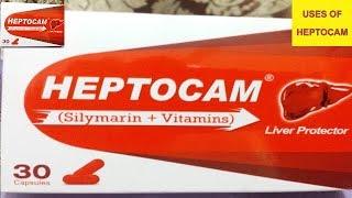 HEPTOCAM SilymarinVitaminCap For  Liver TonicFatty Liver Chronic Hepatitis amp Cirrhosis Liver [upl. by Aiyekal]