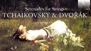 Tchaikovsky amp Dvořák Serenades for Strings [upl. by Aimek]