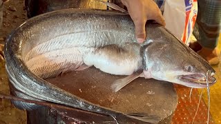 Amazing Giant Wallago Attu Catfish Cutting Skills Live In Fish Market  Boal Fish Cutting [upl. by Kisor804]