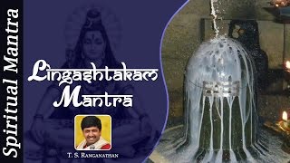 Maha Shivratri Special 2023 Shiva Lingashtakam Mantra Lyrics  Powerful Mantra [upl. by Stearns630]