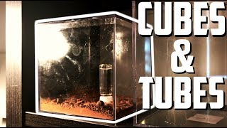 How to Make a Tubs and Tubes Setup  Ant Tutorial [upl. by Arayk614]