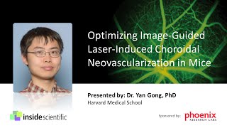 Optimizing ImageGuided LaserInduced Choroidal Neovascularization in Mice [upl. by Aihsetal147]