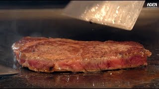 Rare Kagoshima Wagyu Steak  Teppanyaki in Japan [upl. by Naerol]