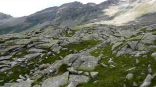 Schalenstein 300 meter südlich der Ruine Alte Thüringer Hütte Habachtal Nr 79 [upl. by Fax]