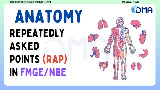 FMGE 2024 Essential Repeatedly Asked Points for Top Scores  RAP  Anatomy  DMA Chennai [upl. by Nemaj1]