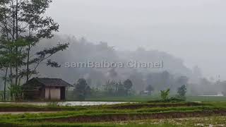 Kacapi Suling  Ulah Ceurik  Kecapi Suling Sunda Instrumental [upl. by Inness]