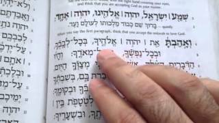 Practice reading the Shema [upl. by Akins564]