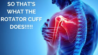 SO THATS WHAT THE ROTATOR CUFF IS FOR [upl. by Melitta878]