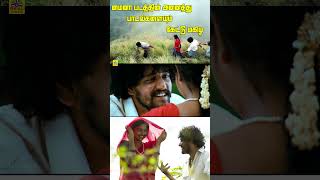 Mynaa Shorts Video  tamilshorts lovestatus dimmanhits amalapaul lovesong tamilhitsongs [upl. by Enois]