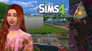 I Completed the Plumbob Shell Challenge in the Sims 4 [upl. by Ajax878]