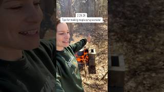 Maple tapping Tips for making maple syrup over fire🔥 homestead maplesyrup country tips [upl. by Ienttirb]