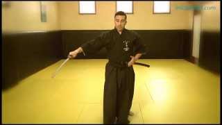 Iaido 8 Fases del kata [upl. by Clance]