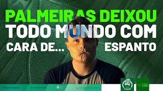 MAV  O PALMEIRAS DEIXOU TODO MUNDO COM CARA DE ESPANTO [upl. by Buckler]