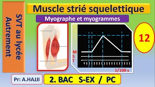 Muscle strié squelettique Myogrammes secousse musculaire rhéobase et phénomène de recrutement [upl. by Roleat]