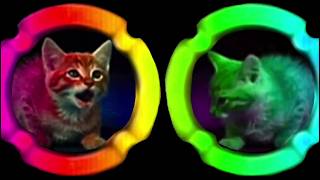 MTM Cat Twins Ident Logo Lets Effects [upl. by Charry190]