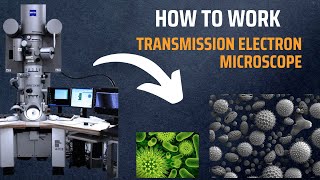 Transmission Electron Microscope TEM  How do Electron Microscopes Work [upl. by Artap67]