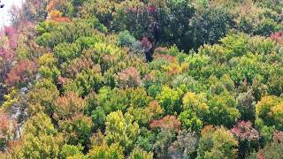 Drone Flight around Cherry Hill NJ Northwoods neighborhood near RT 295 with a DJI Mavic Mini 3 [upl. by Roter]