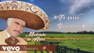 Vicente Fernández  Quisiera Saber Te Quise Olvidar Cover Audio [upl. by Nehtanhoj391]