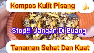 Cara Membuat Pupuk Organik Dari Kulit Pisang  Tanaman Subur Dan Sehat [upl. by Aita]