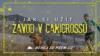 Jak si užít závod v canicrossu  Běhej se psem [upl. by Notxam]