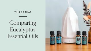 Eucalyptus Essential Oil Benefits amp Uses  Which One Is Best For Me [upl. by Annerol]