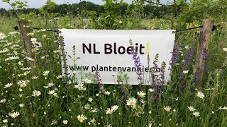 Planten van hier  Flora amp Fauna [upl. by Aimerej639]