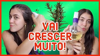 💚 O MELHOR TÔNICO capilar CASEIRO para CRESCIMENTO  Alecrim [upl. by Ahsiet]