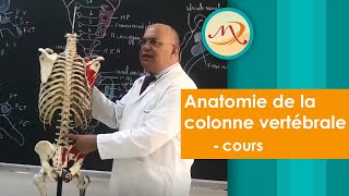 Anatomie de la colonne vertébrale cours [upl. by Aleehs476]