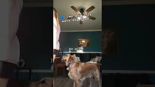 Not my doggie fypシ゚viral goldenretreiver doglover viralshort like subscribe [upl. by Ardnekat]