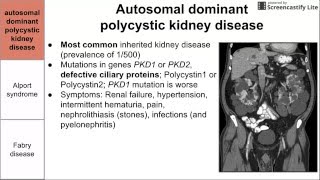 Genetic disorders of the kidney [upl. by Aihtenyc]