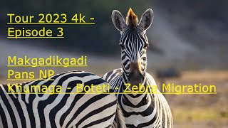 3  Makgadikgadi Pans NP  Khumaga Boteti Zebra Migration  Track 3  2023 Tour 4k [upl. by Jacy]