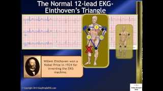 The Normal 12 Lead EKG and Einthovens Triangle [upl. by Blase]