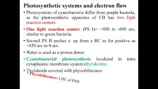 Oxygenic Photosynthesis Cyanobacteria Microbial metabolism [upl. by Yhtomit]