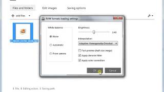 Tune RAW formats loading settings during image conversion with reaConverter [upl. by Taub]