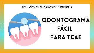 🦷 ODONTOGRAMA 🦷 PARA TCAE  APRENDE el Nombre y Número de los dientes [upl. by Laverne]