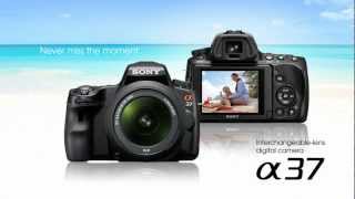 Sony Alpha A37 SLT Camera [upl. by Sumer]